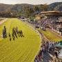 View The Entertainment Grounds - Gosford View The Entertainment Grounds - Gosford