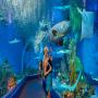View Cairns Aquarium