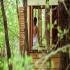 Expedia: Health Retreat