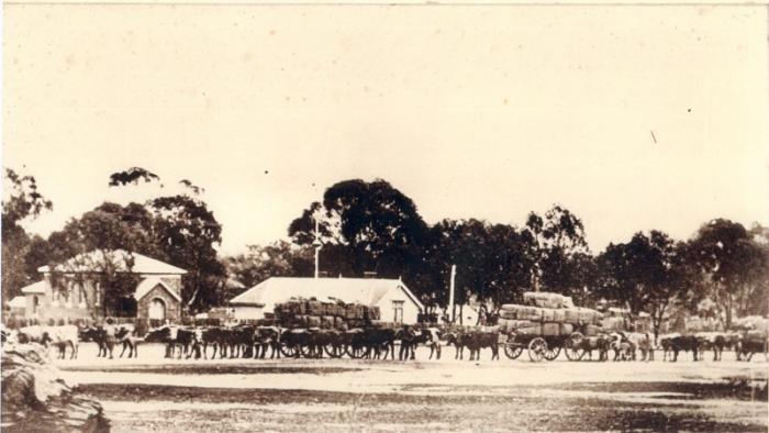 Avoca and District Historical Society Inc.