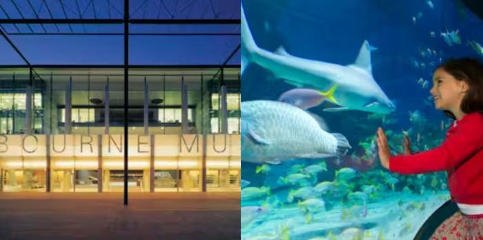 Package Tickets: Melbourne Museum + SEA LIFE Melbourne