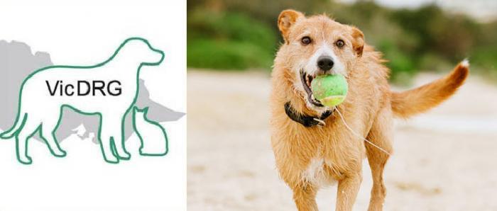 Victorian Dog Rescue & Resource Group Inc.
