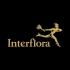 Interflora | Your Local Florist