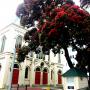 View Wesley Methodist Church - Wellington