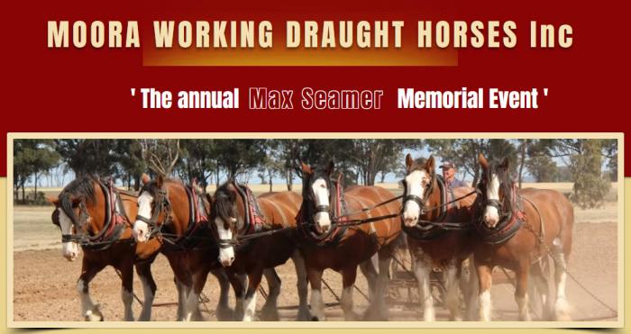 Moora Working Draught Horse Muster 2026