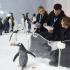 Penguin Passport Experience At Sea Life Melbourne