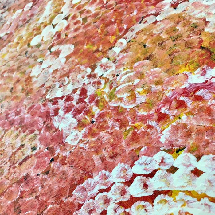 Amagoa | Aboriginal & Modern Art Gallery of Australia