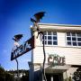 View Weta Cave | Wellington