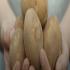 View International Day of Potato 2025: Shaping history, feeding the future