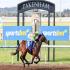 Sportsbet-Pakenham Racecourse
