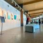 Clyde Gallery at Bay Pavilions