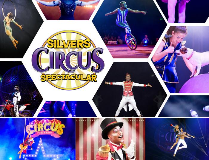 Circus in Melbourne