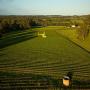 View Event: Barossa Valley Wine Tour with Lunch with Helicopter Flight