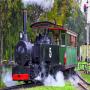 Alexandra Timber Tram