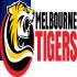 Melbourne Tigers
