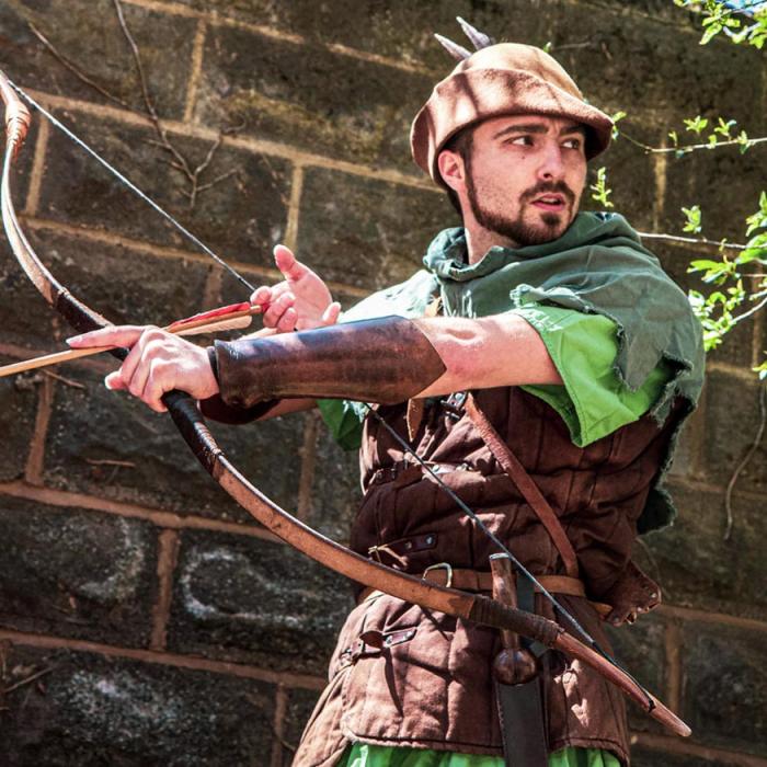 The Adventures of Robin Hood