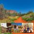 View Event: Alice Springs Desert Park | Open Hours & Tickets