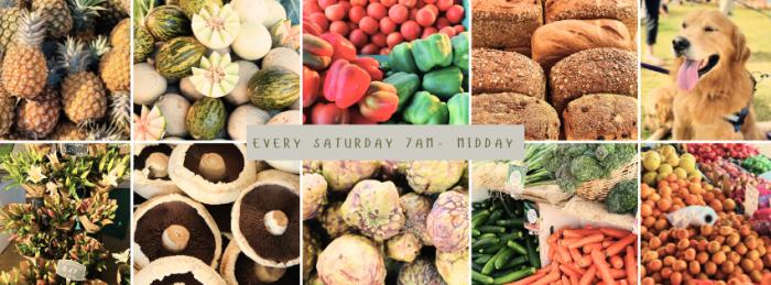 Aura Farmers Market Aura Farmers Market