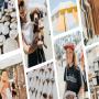 View Sunshine Coast Collective Markets - Maroochydore