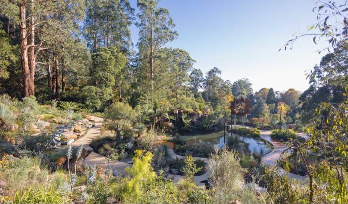 Geelong Botanic Garden: Guided Walks