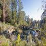 Geelong Botanic Garden: Guided Walks