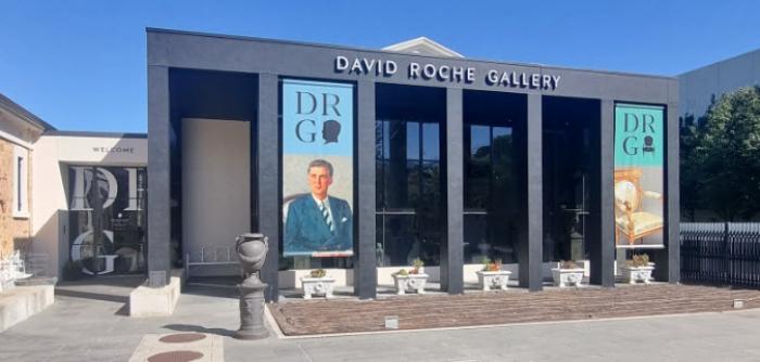 David Roche Gallery