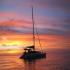 View Sunset Cruise | Dinner and Sparkling Wine