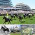 View Why Melbourne Is the Horse Racing Capital of the World View Why Melbourne Is the Horse Racing Capital of the World