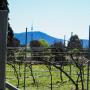 View Canberra City Farm View Canberra City Farm