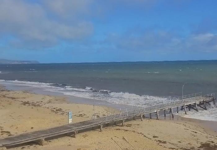 Marine Safety SA:  Web Cameras