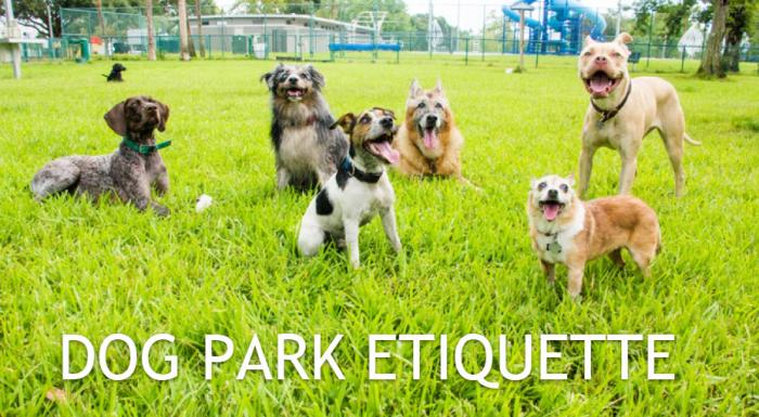 Dog Park Etiquette