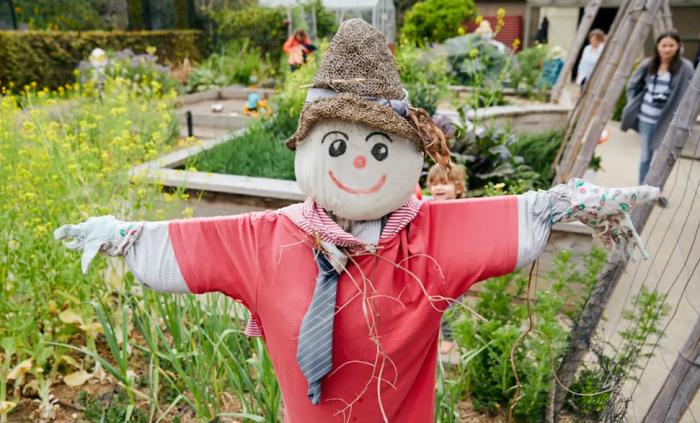 The Ian Potter Foundation Children's Garden