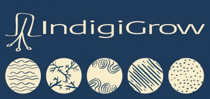 IndigiGrow - Australian Native Bushfoods