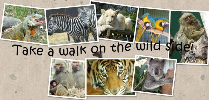 Darling Downs Zoo | Open Hours & Tickets