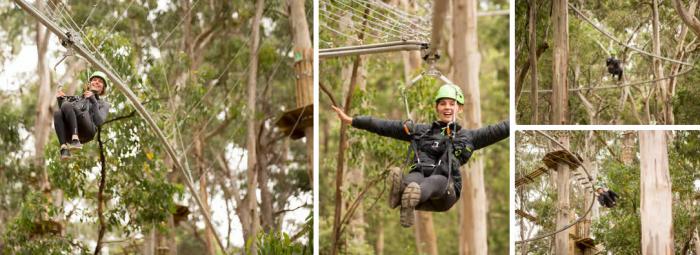 Live Wire Park | Open & Tickets