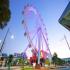 View Melbourne Star | Reopens Thursday 15th October 2026