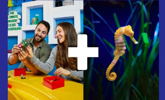 Big Ticket - Adult Night Melbourne @ LEGOLAND® + SEA LIFE