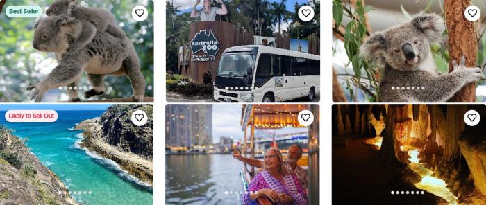 Viator: Brisbane Tour Company