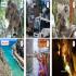 Viator: Brisbane Tour Company