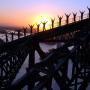 Tours & Sightseeing > Activity Tours - Sydney, Australia