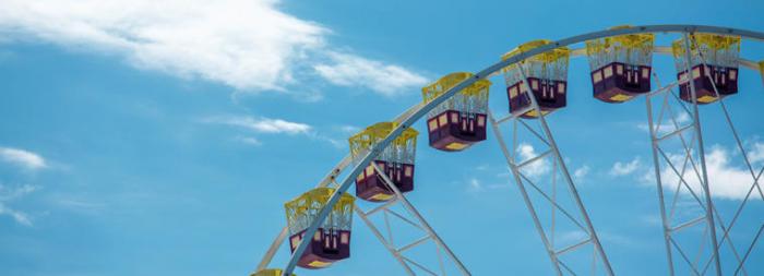 Viator: Geelong Tour Company