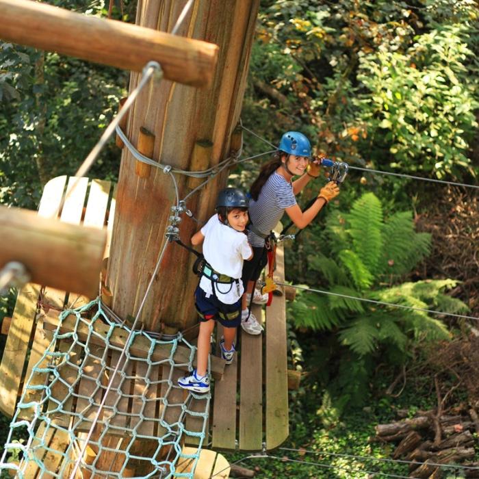 TreeTops Challenge: Yeodene Park - Open & Tickets - Tiqets.com