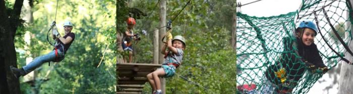 TreeTops Adventure | Belgrave - Open & Tickets TreeTops Adventure | Belgrave - Open & Tickets