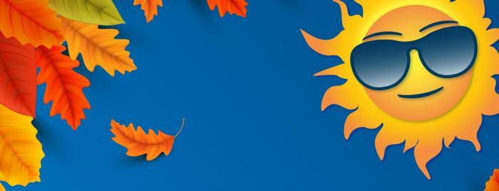 Seasonal Markets: Christmas & Summer