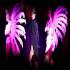 La Belle Rose Cabaret | Dinner & Show Experience