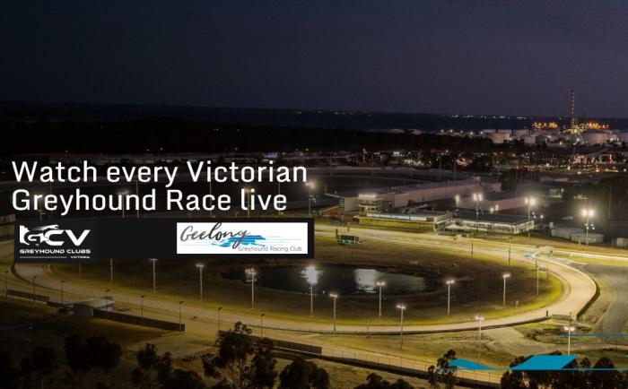 Greyhound Racing @ Beckley Geelong