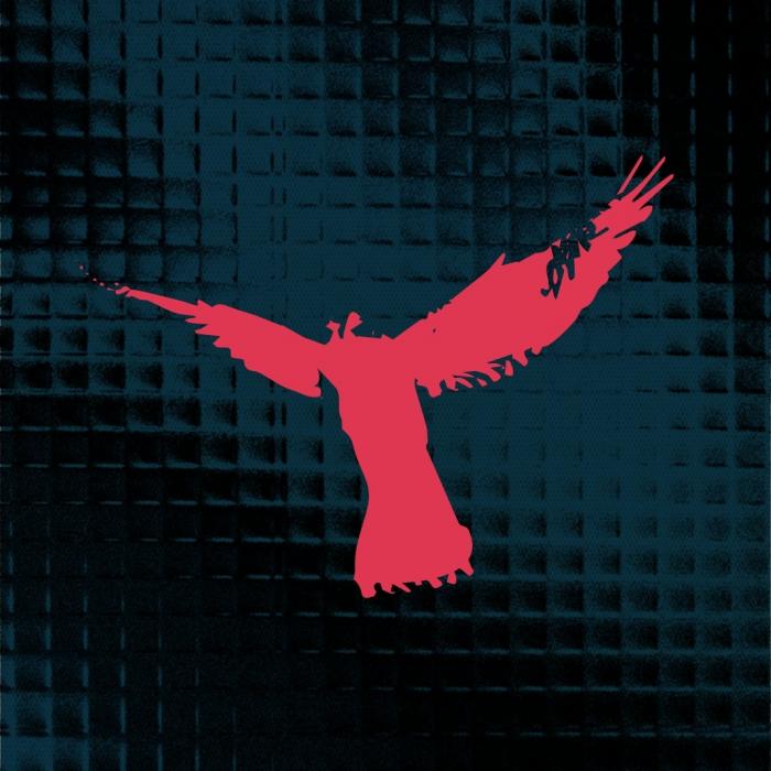 Nightjar Festival 2026