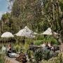 The Terrace - Cafe | Royal Botanic Gardens