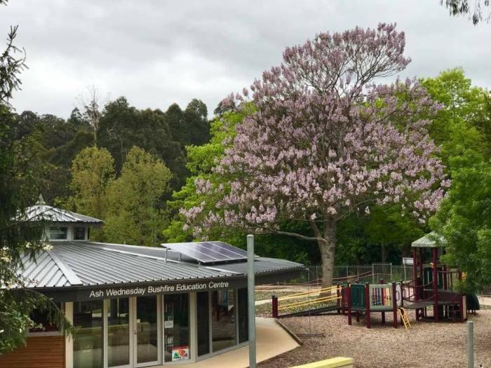 Remembrance: Ash Wednesday | 1983-2026