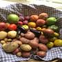 Oberon Community and Farmers' Markets